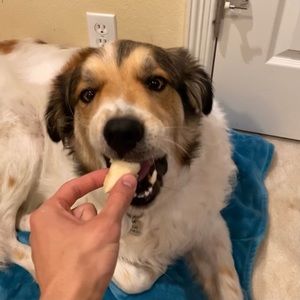 Meet your Posher, Raleigh